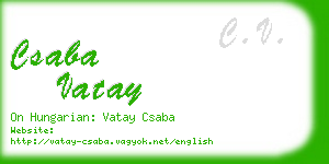 csaba vatay business card